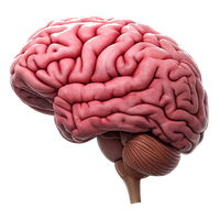 Búsqueda Inteligente